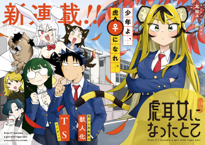 ȣ���̱� ���ڰ� �Ǿ��� �ص�