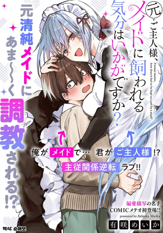 ÁÖÀδÔ, ¸ÞÀ̵忡°Ô »çÀ°´çÇÏ´Â ±âºÐÀº ¾î¶°½Å°¡¿ä?